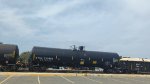 CTCX 732652